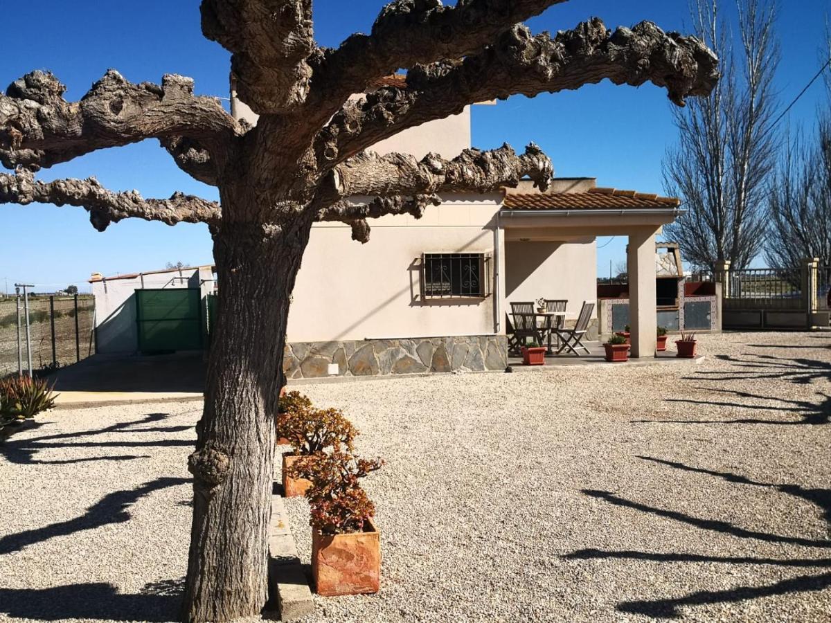 Casa Laura Guest House Deltebre Luaran gambar